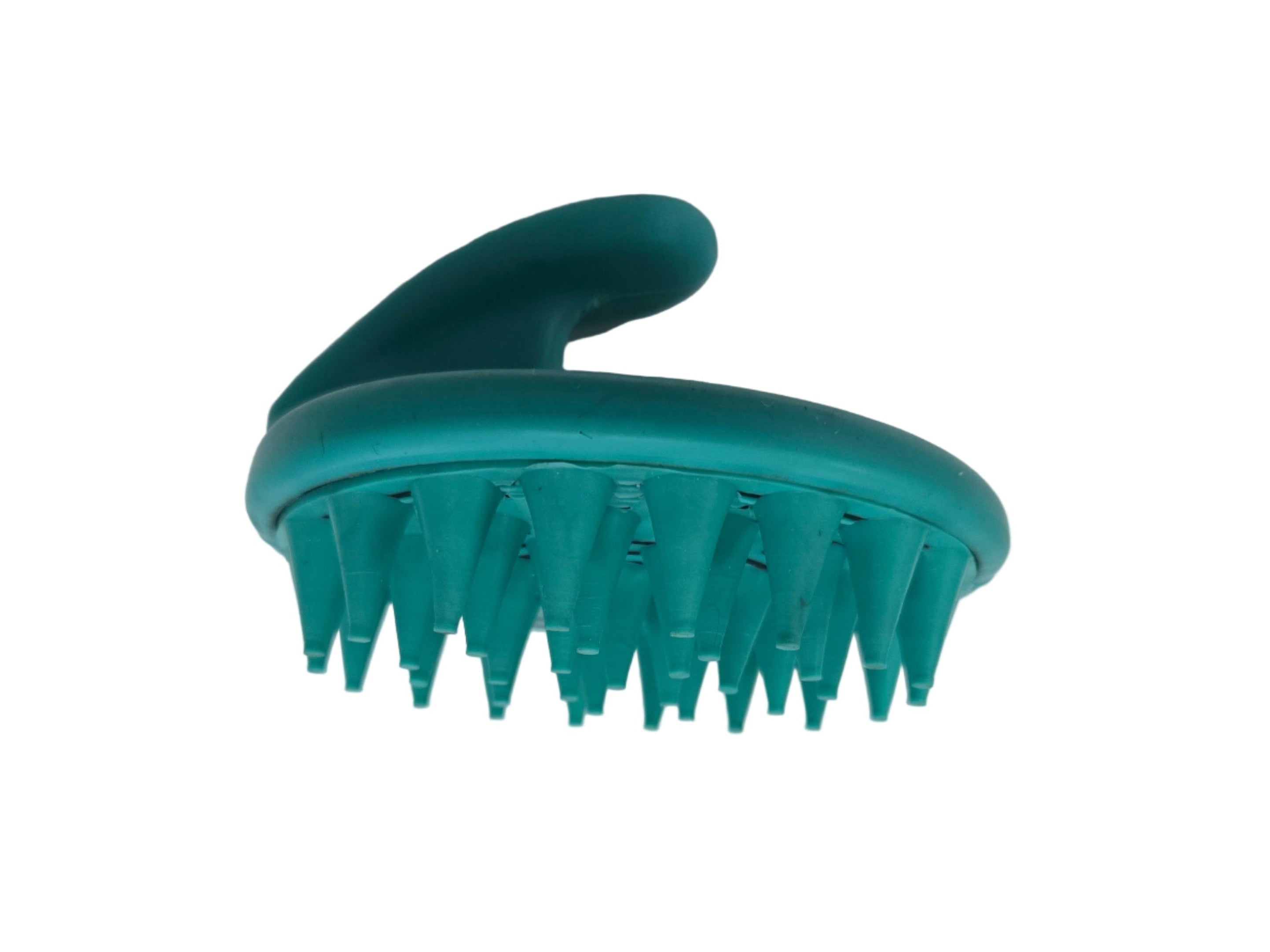 Teal shower massager on a white background